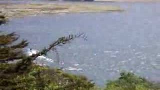preview picture of video 'Kitesurfing near Bodega Bay, California (1 of 2)'