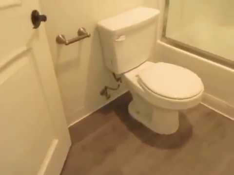 PL6816 - Newly Remodeled 2 Bed + 2 Bath Apartment for Rent! (Los Angeles, CA)