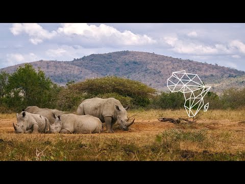 Black Motion feat. Da Capo - Technology (Original Mix) [Afro House / South African Recordings]