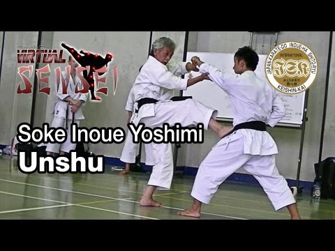Soke Inoue Yoshimi teaching Unshu + bunkai - Summer Camp 2013