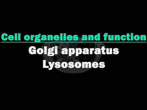 Cell Organelles and its Functions