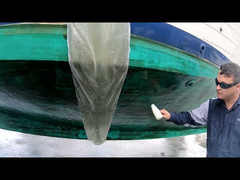 EP8 Boating 101!!!! Survey with Mosley Maritime Services complete Survey Jim's boat buying