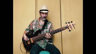Chaka Khan - I Was Made To Love Him (Bass Cover)
