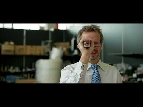 Видеообзор