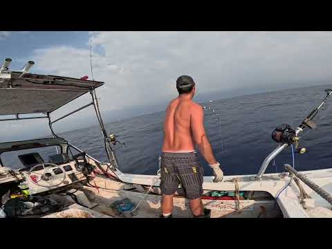 Tuna Fishing - Deep Dropping Maki Dog & Live Baiting Opelu - Kailua Kona, Hi