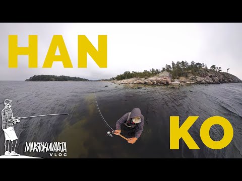 Taimenen rantakalastuspaikkana Hanko