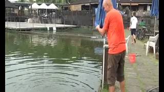 preview picture of video 'Fishing for redtail catfish @ bottle tree park Singapore'