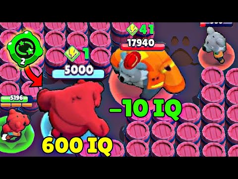 600 IQ Bear vs -10 IQ Koala in Brawl Stars! Wins & Fails #163