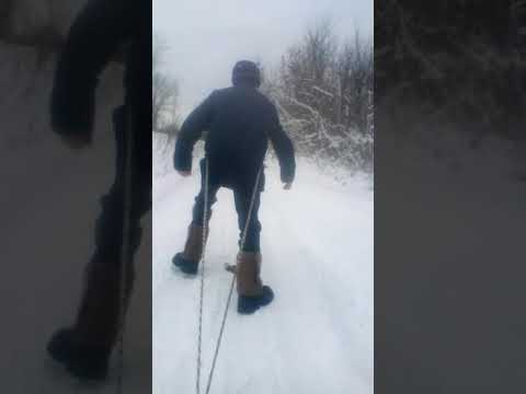 Дима олень! Зайчья тропа ! Скоро петли на зайчика!!