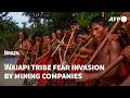 Ancient Brazilian Tribe Sharpens Arrows Against Amazon Invaders