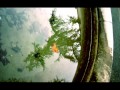 Stay home - Thomas Dybdahl