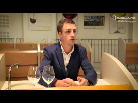 Les Ateliers Professionnels vins de Bourgogne à Beaune : témoignage d’un sommelier bordelais