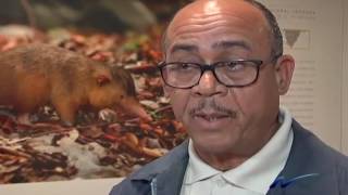 En República Dominicana se viola la ley de protección animal