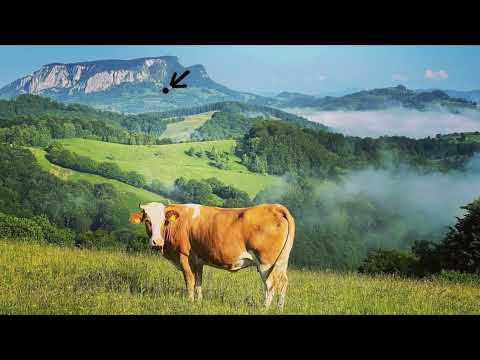 Cabana Himalya Lodge din Apuseni - Buceș-Vulcan de închiriat