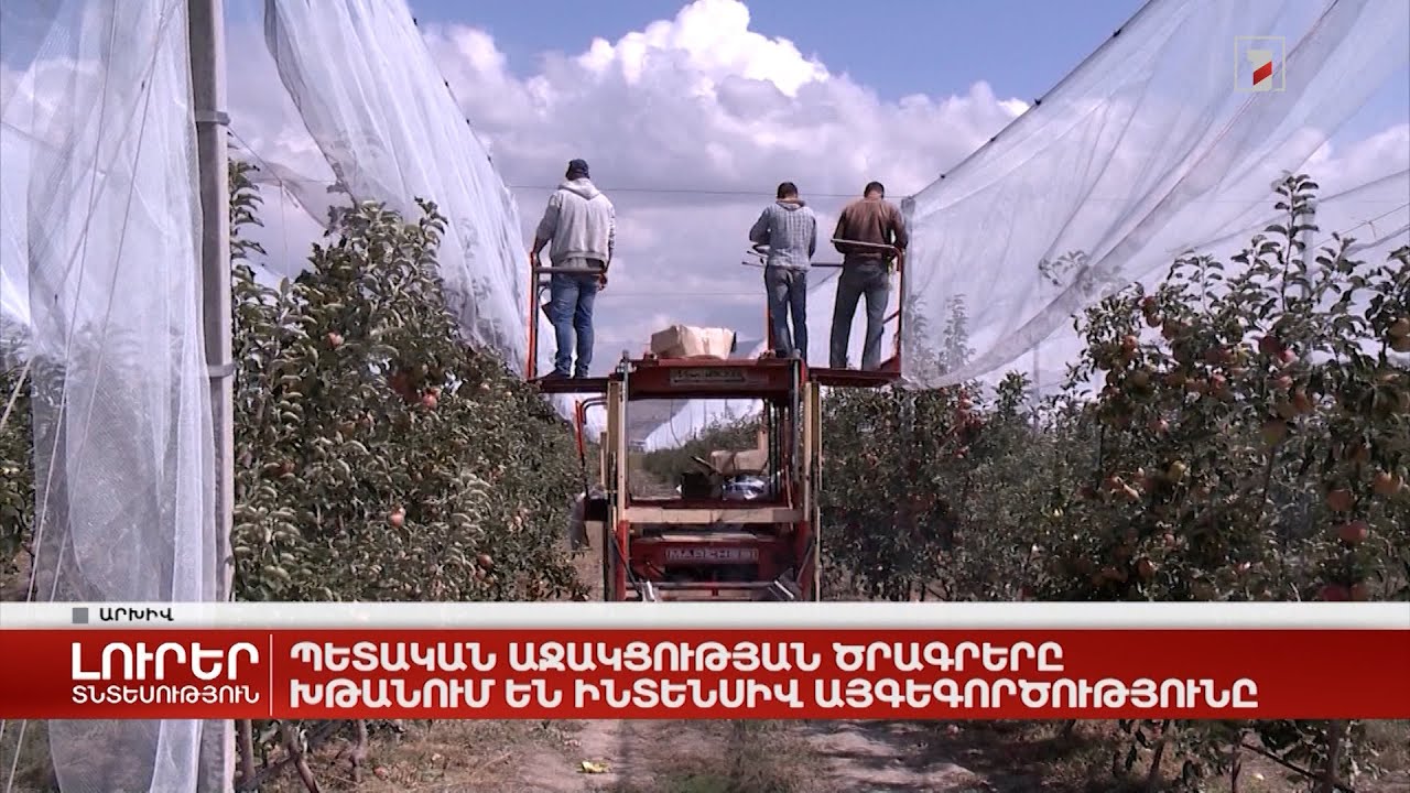 Պետական աջակցության ծրագրերը խթանում են ինտենսիվ այգեգործությունը