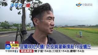紅火蟻入侵科學園區 防疫員撒洋芋片誘殺│中視新聞 20190527