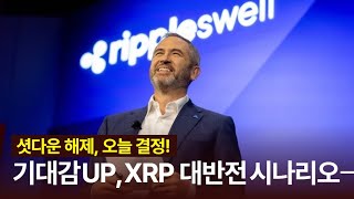 셧다운 해제, 오늘 결정! 기대감 폭등, 리플 대반전 시나리오