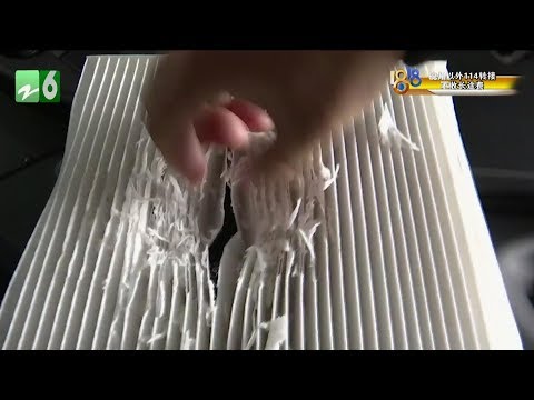 老鼠咬痕
