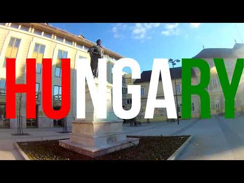 1st European Open Crokinole Championships (non official)