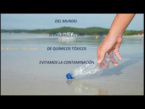 LOS HUMANOS SOMOS LOS RESPONSABLES DE LA CONTAMINACIÓN DE LOS RÍOS