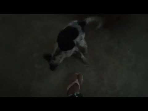 Coco on the Couch --Feb 28th 2025