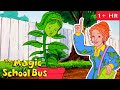 Photosynthesis Rainforests And Erosion Full Episodes The Magic School Bus Scholastic Classic