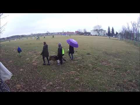 SPARING: Piast Jabłonna - LZS Wronczyn (bramki)