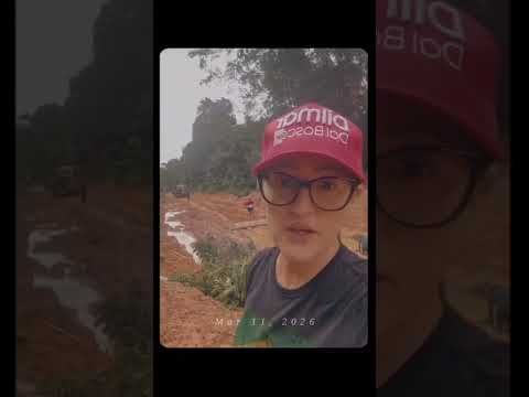 região colniza, MT grosso Brasil