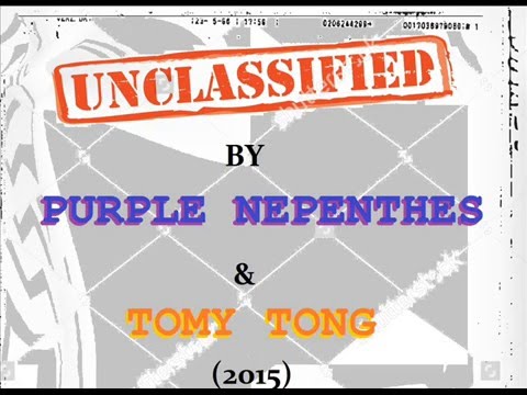 Purple Nepenthès & Tomy Tong (ft. Art&fact) - Unclassified