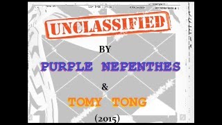Purple Nepenthès & Tomy Tong (ft. Art&fact) - Unclassified