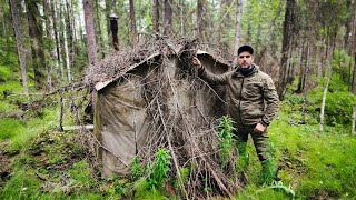 How a Tiny Cabin in the Forest Became My Home for the Night