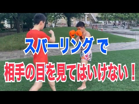 キックボクシングのスパーリング中、目線はどこへ持っていくのがベストか？~パンチも蹴りもディフェンスできる目線の高さとは？~