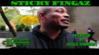 Sticky Fingaz Says Hip-Hop Is Gay Right Now!