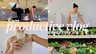 5am days in my life🍵 *CLEANING* motivation + productive morning routines | aesthetic vlog