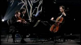 Dvorak : 'Dumky' Trio (4th mvmt) opus 90 in E minor, Allegro