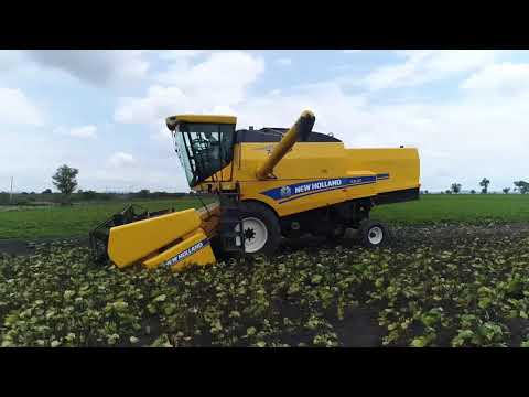 New Record of machine harvesting | TC5.30 | 2018