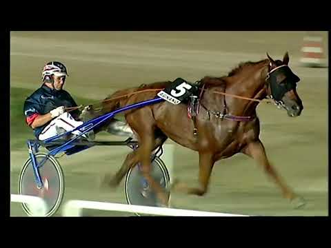 Napoli Trotto 30/07/2022 - 7ª corsa