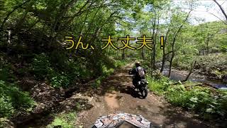 レッツゴー林道探索！　並びはＫＬＸ　ＣＲＭ　シェルパ