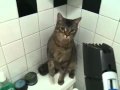 You Ll Never Shave My Pussy Part 2 Now He S Really Pissed