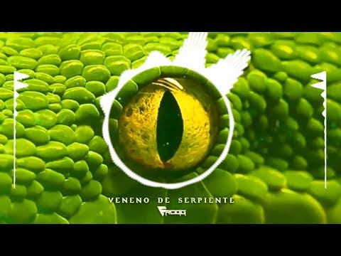 Frogg - Veneno de Serpiente (original mix)