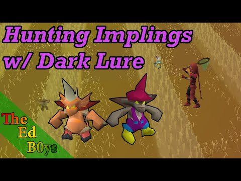 Using Dark Lure to Hunt Implings | OSRS Impling Hunting Guide