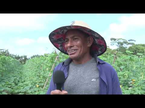 Programa SIC Rural exibido em 10 de julho de 2022