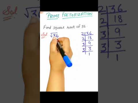 FIND SQUARE ROOT OF 36 || PRIME FACTORISATION|| #officialmaan #tricks #makeitviral #mathfun #shorts