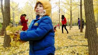 Just an Autumn day at the park