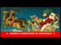 AdultSwim Christmas Special