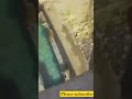 Don T Know Swim Shortsfeed Funny Swimming Senthil Comedy Monkey Shortsfeed Funnyshorts