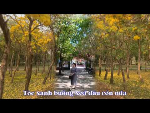 Nhớ chiều thu ấy - Bích Liên