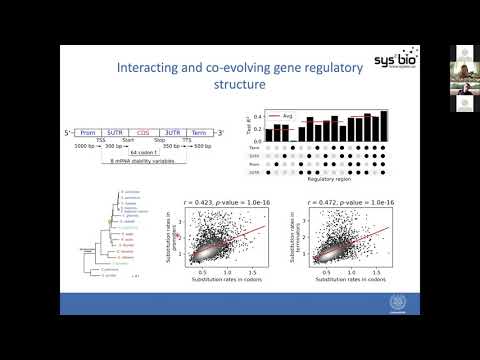 Learning the regulatory grammar of DNA for protein expression engineering - MBM Workshop 15 10 2020