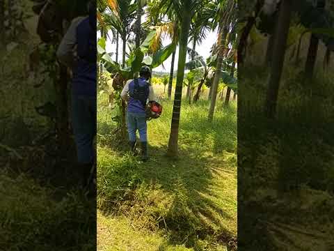 Oleo mac bresh cutter