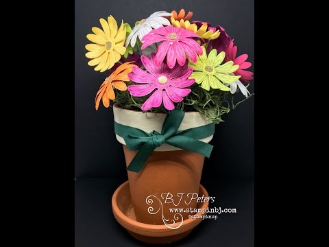 Daisy Delight Bouquet